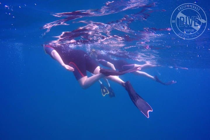 Catalina Islands Snorkel from Playa Flamingo — Two Dives in Costa Rica's Gulf photo 5