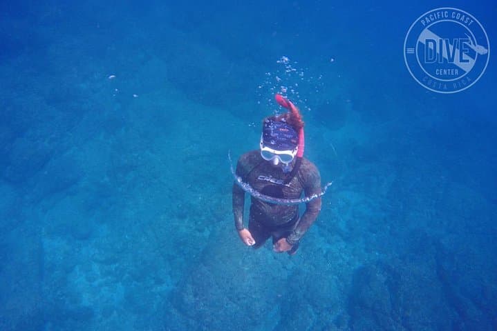 Catalina Islands Snorkel from Playa Flamingo — Two Dives in Costa Rica's Gulf photo 6