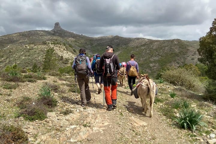 Donkey Treks in Sardinia: Transhumance Trails from Jerzu to Perda-e-Liana photo 2