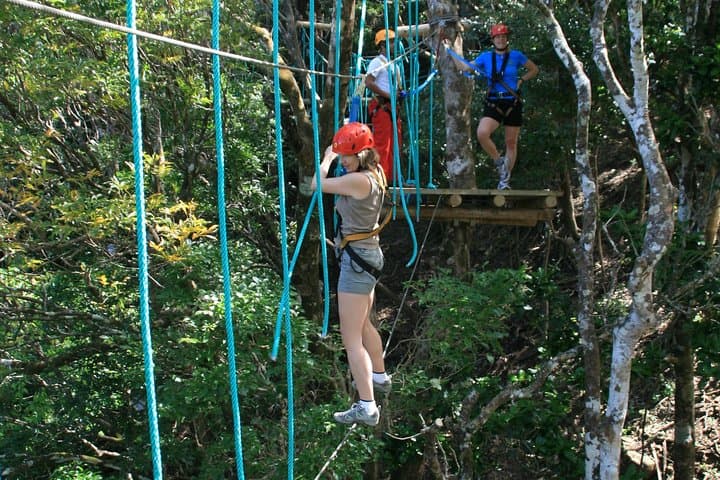 High-Ropes Course at Adventure Park Costa Rica — Rainforest Aerial Adventure photo 5