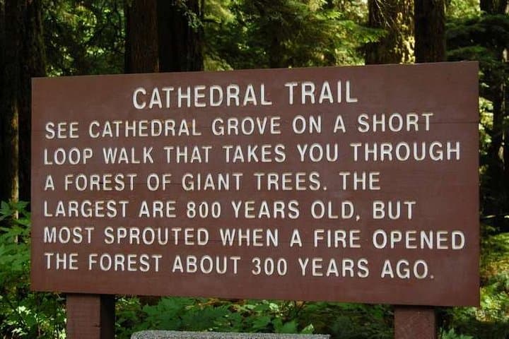 Vancouver Island Waterfalls, Cathedral Grove & Coombs Private Tour photo 3