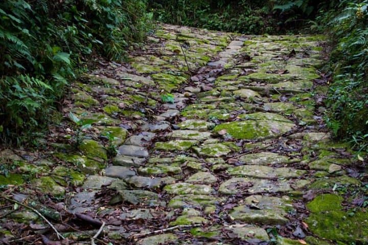 Gold Trail Cultural Hike in Paraty — Caminho do Ouro Through Serra da Bocaina photo 4