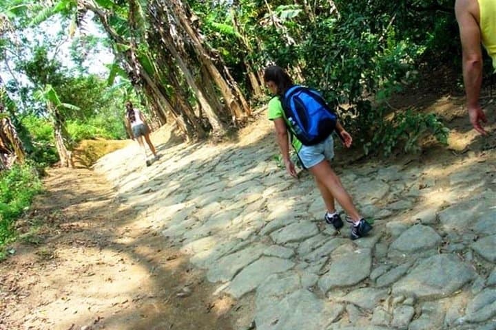 Gold Trail Cultural Hike in Paraty — Caminho do Ouro Through Serra da Bocaina photo 6
