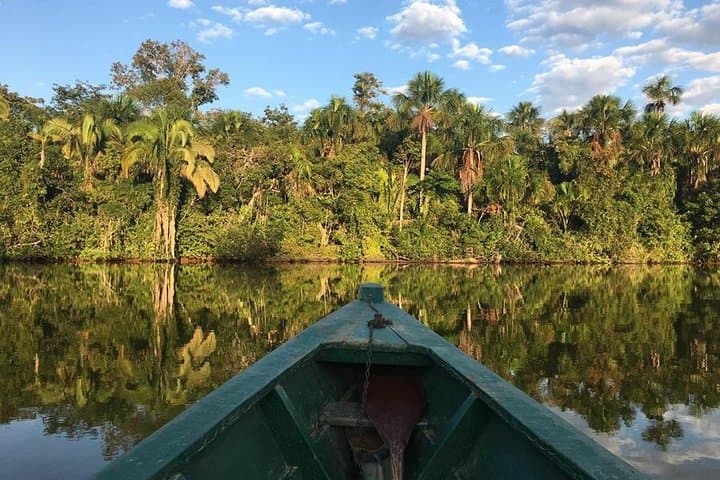 Lake Sandoval Wildlife Hike and Canoe Trip from Puerto Maldonado