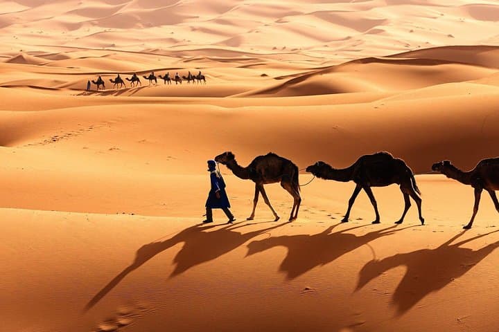 3-Day Morocco Desert Tour from Marrakech — Erg Chebbi, Dades & Ait Ben Haddou photo 3