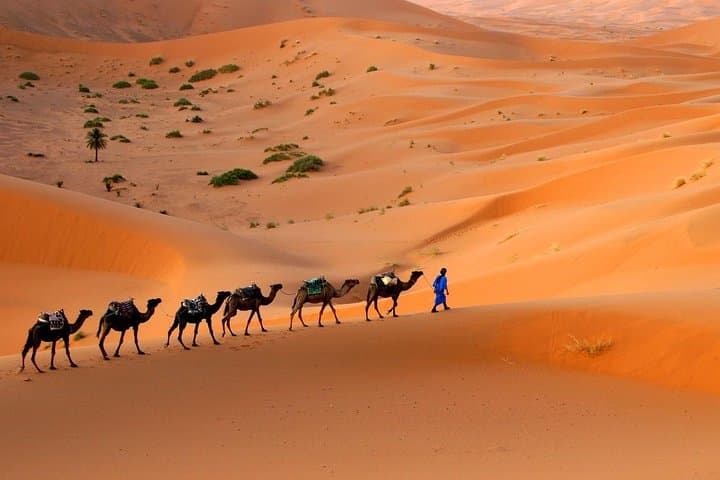 3-Day Morocco Desert Tour from Marrakech — Erg Chebbi, Dades & Ait Ben Haddou photo 5