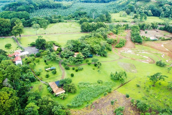 Jacó ATV Adventure & Waterfall Swim — 3-Hour Jungle Quad Ride photo 2