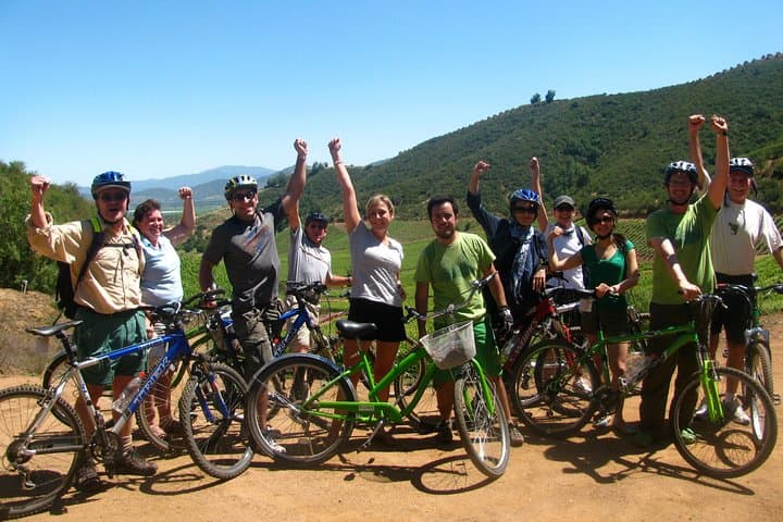 Niagara-on-the-Lake Vine and Dine Bike Tour — 3-Winery Ride with Picnic Lunch photo 4