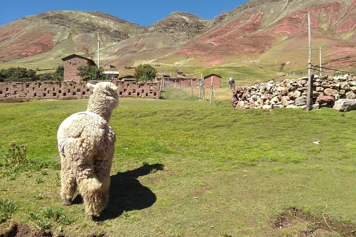 Palcoyo Rainbow Mountain: Private Full-Day Tour from Cusco photo 4