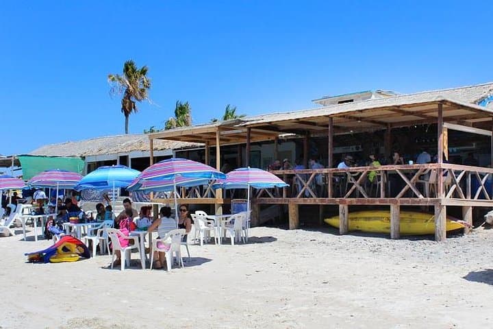 La Paz Paradise: Balandra Beach Boat Tour to El Tecolote & Todos Santos photo 4
