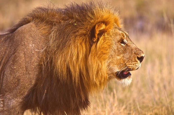 Extreme Silver Safari: 10-Day Windhoek to Swakopmund Adventure