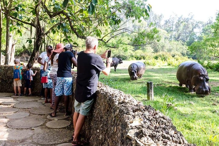 Wild Waters and Haller Park: Full-Day Waterpark and Wildlife Combo from Diani photo 2