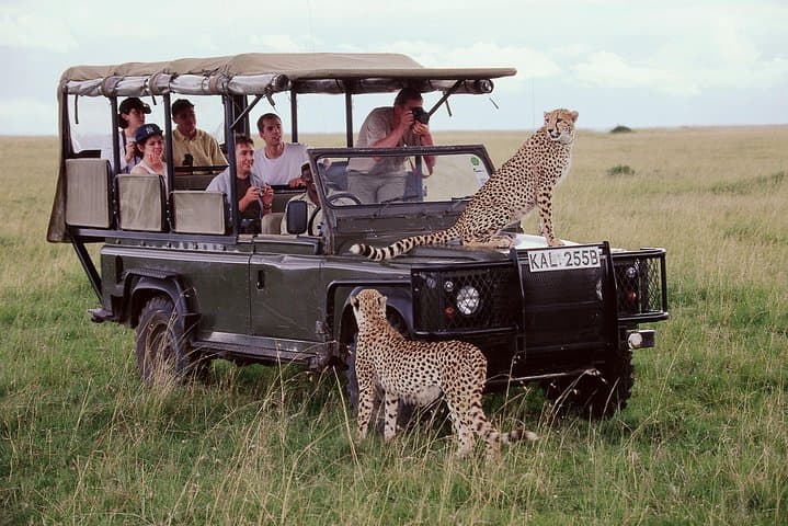 3-Day Masai Mara Flying Safari from Nairobi photo 5