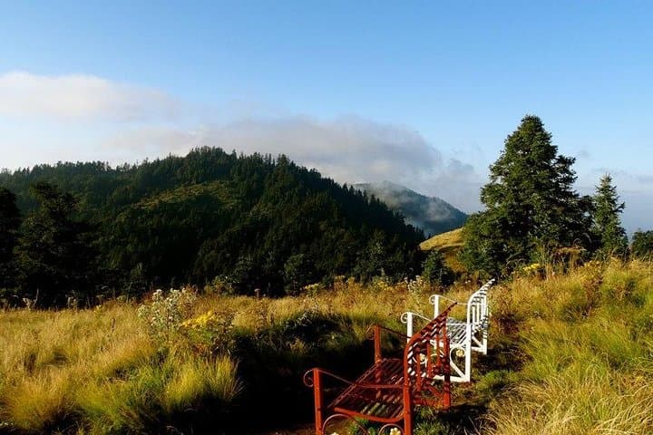 Poon Hill Sunrise Trek: 5-Day Fishtail & Ghorepani Short Trek from Pokhara photo 3