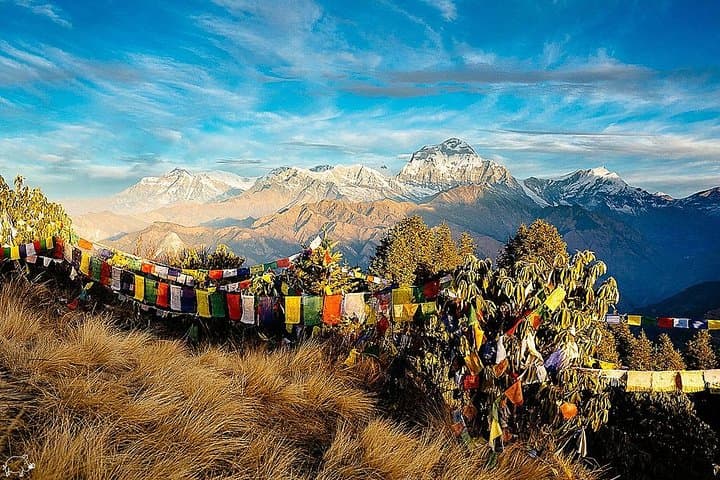 Poon Hill Sunrise Trek: 5-Day Fishtail & Ghorepani Short Trek from Pokhara photo 5