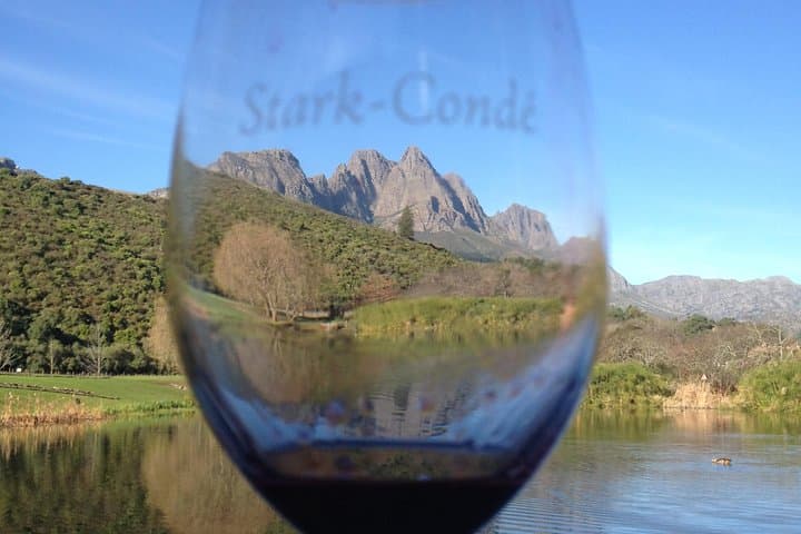 Private Big Red Wine Tour in the Cape Winelands — Stellenbosch Big Reds Tasting photo 3
