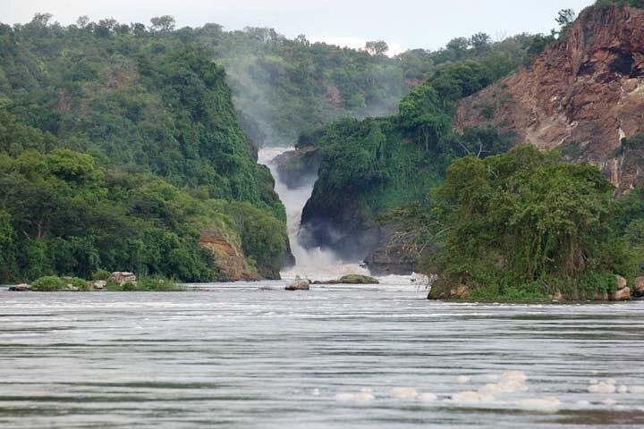 Three-Day Murchison Falls Safari: Boat Cruise, Game Drives & Top-of-Falls Hike photo 4