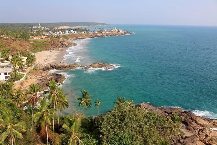 Best of Kerala: 8-Day Private Tour from Kochi — Munnar, Periyar & Backwaters photo 2