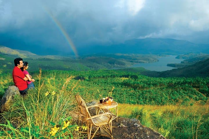 Best of Kerala: 8-Day Private Tour from Kochi — Munnar, Periyar & Backwaters photo 5