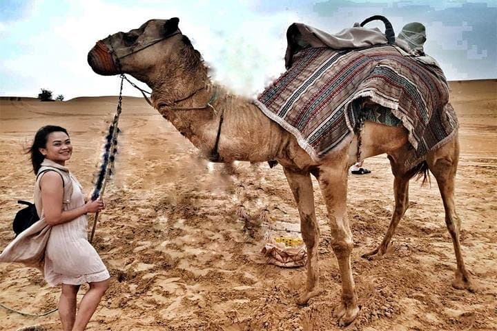 Evening Desert Safari Dubai With Quad Bike — Lahbab Sunset Dune Adventure photo 3