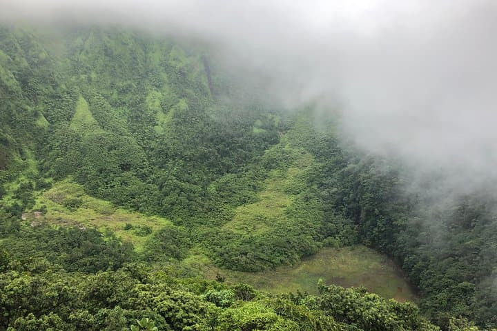 Conquer Mount Liamuiga: Guided Summit Hike on St Kitts' Dormant Volcano