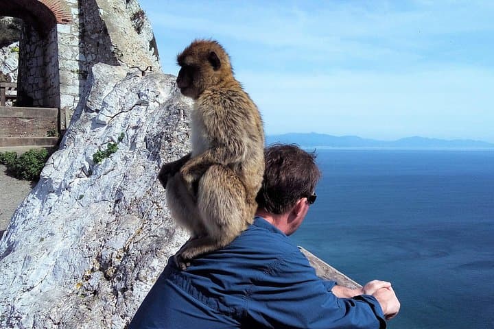 Private Gibraltar Day Trip from Marbella or Málaga: Rock of Gibraltar, Caves & Barbary Macaques