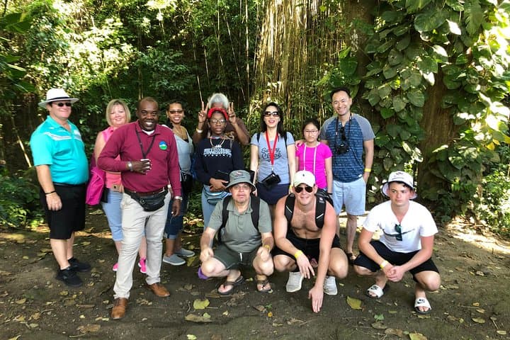Rainforest and Coastal Safari: St. Kitts Open‑Air Rainforest Tour photo 2