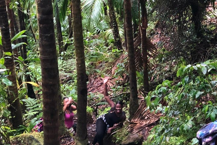 Conquer Mount Liamuiga: Guided Summit Hike on St Kitts' Dormant Volcano photo 4