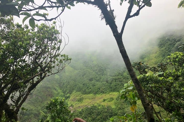Conquer Mount Liamuiga: Guided Summit Hike on St Kitts' Dormant Volcano photo 5