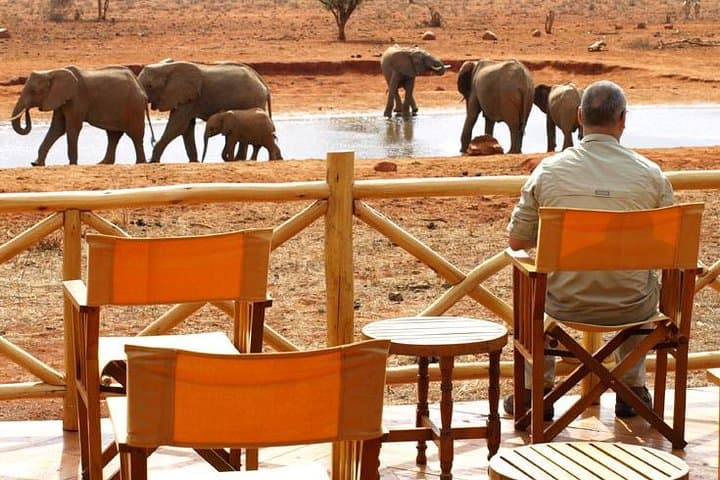 5-Day Mombasa Safari: Tsavo East, Tsavo West, Amboseli & Ngutuni Wildlife Circuit photo 4