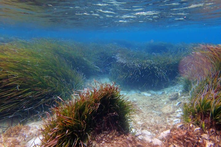 Sea-Kayak Hvar & Pakleni Islands: Half-Day Self-Guided Adventure photo 5
