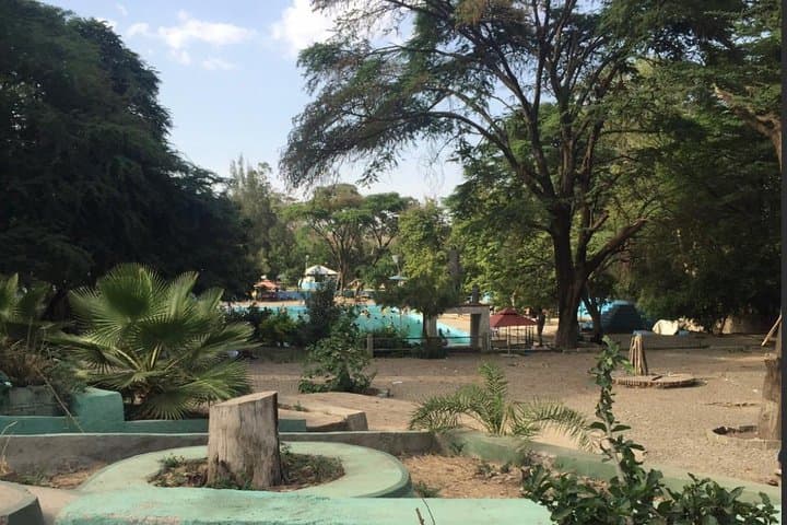 Sodere Hot Springs Day Trip from Addis Ababa — Awash River Baths & Wildlife photo 3