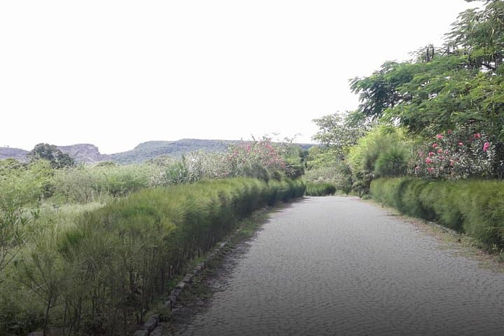 Sodere Hot Springs Day Trip from Addis Ababa — Awash River Baths & Wildlife photo 4