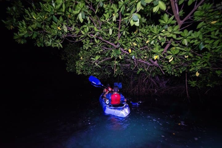 Night Kayak to Laguna Grande: Bioluminescent Bay Adventure from San Juan