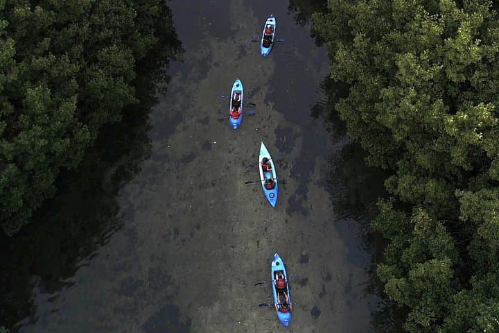 Kayak the Laguna Grande Bioluminescent Bay: Night Paddle from San Juan photo 5