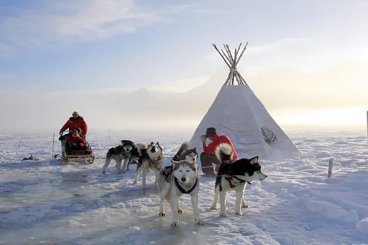 Husky Sled & Snowshoe to Alvear Icefall — Tierra Mayor Winter Adventure photo 2