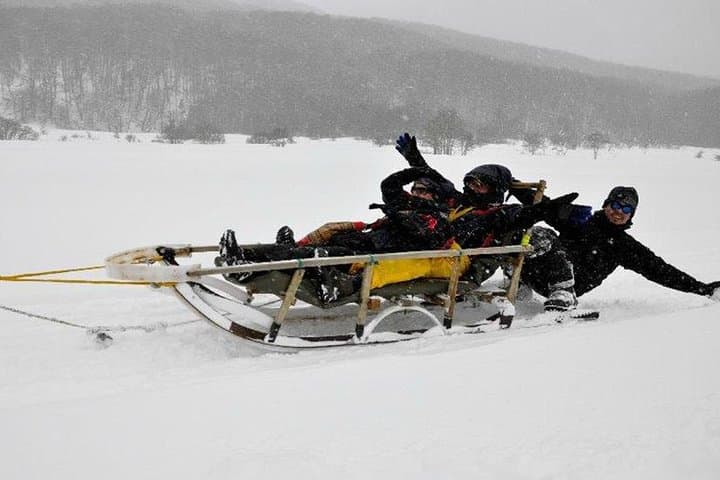 Husky Sled & Snowshoe to Alvear Icefall — Tierra Mayor Winter Adventure photo 5