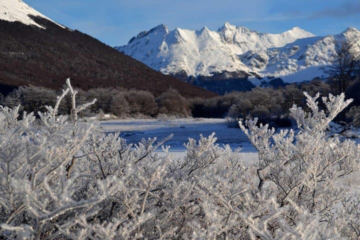 Husky Sled & Snowshoe to Alvear Icefall — Tierra Mayor Winter Adventure photo 6