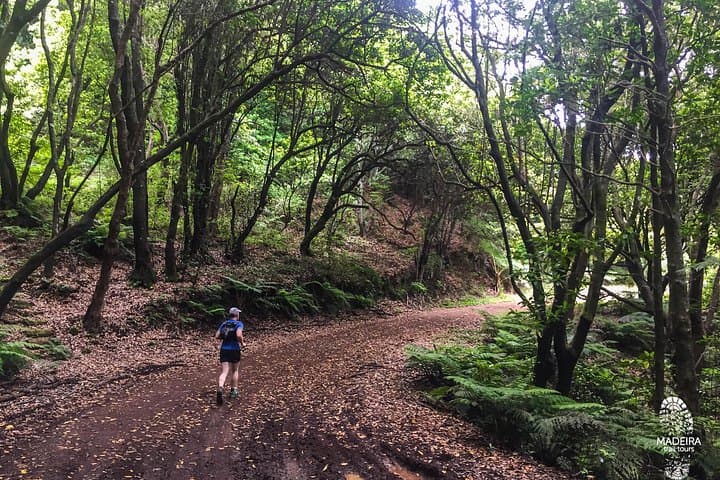 Sea to Mountain Running Tour — Madeira Levadas & Larano Trail (28 km) photo 4