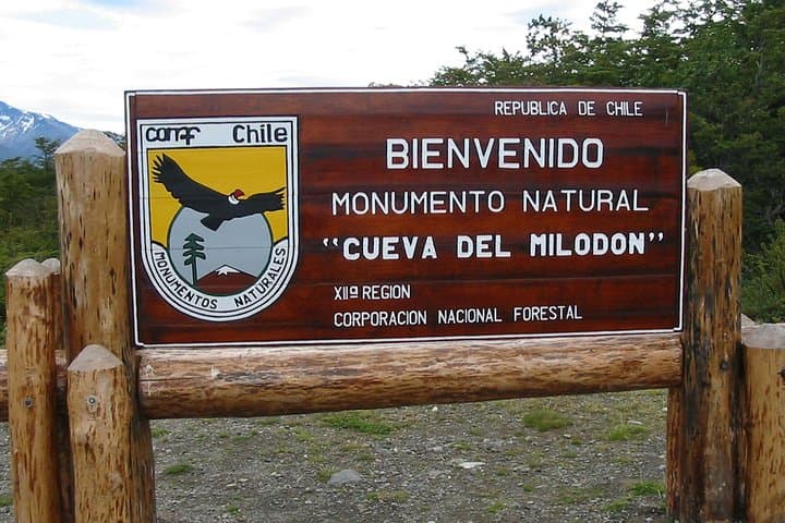 Full-Day Torres del Paine from Puerto Natales: Glacier Views, Lenga Forests & Wildlife photo 4