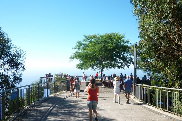 Madeira West Tour: Cabo Girão, Paúl da Serra & Porto Moniz Full-Day Excursion photo 6