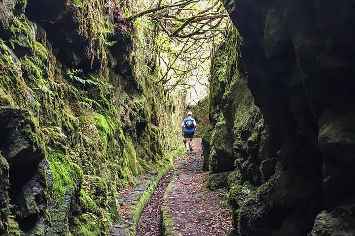 Folhadal Levada Running Tour — 18 km Laurissilva Waterfalls & Tunnel Run photo 3