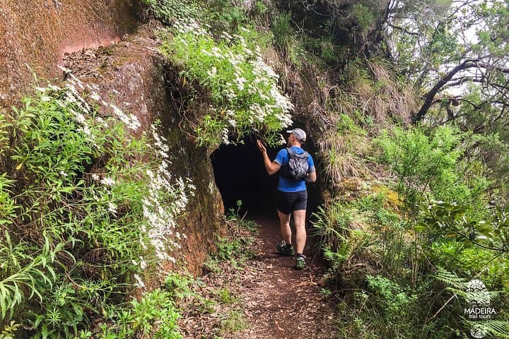 Folhadal Levada Running Tour — 18 km Laurissilva Waterfalls & Tunnel Run photo 4