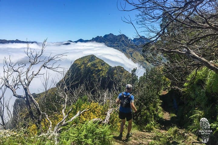 Folhadal Levada Running Tour — 18 km Laurissilva Waterfalls & Tunnel Run photo 2