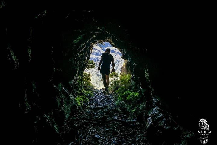 Folhadal Levada Running Tour — 18 km Laurissilva Waterfalls & Tunnel Run photo 6