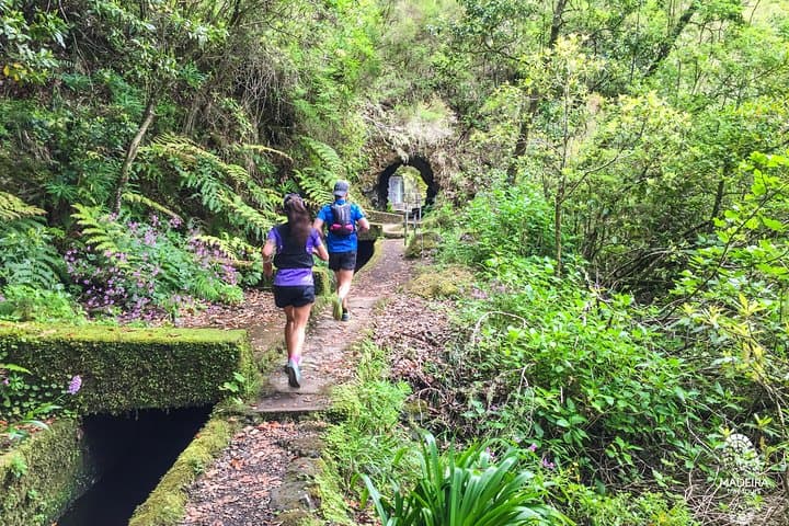 Folhadal Levada Running Tour — 18 km Laurissilva Waterfalls & Tunnel Run