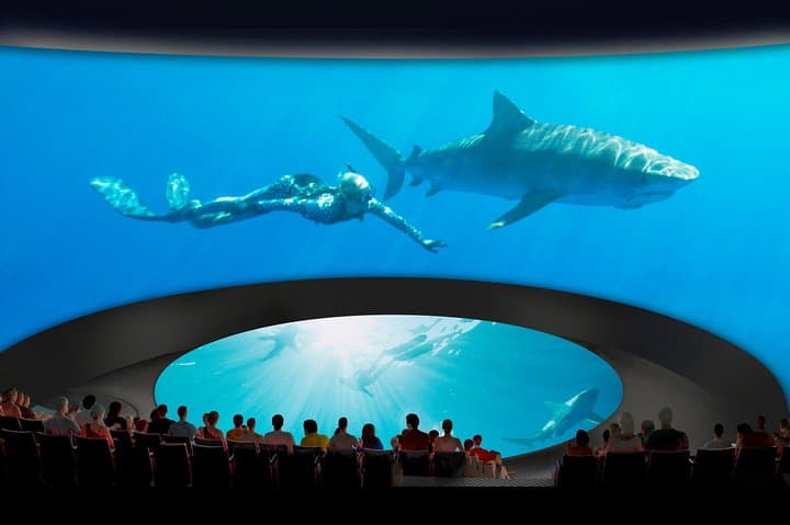 Skip-the-Line Aquarium of the Pacific General Admission Long Beach photo 5