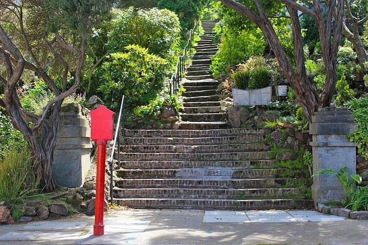 Castro to Twin Peaks Urban Hike: Hills, Hidden Gems & City Views photo 2