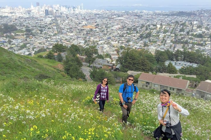 Castro to Twin Peaks Urban Hike: Hills, Hidden Gems & City Views photo 1