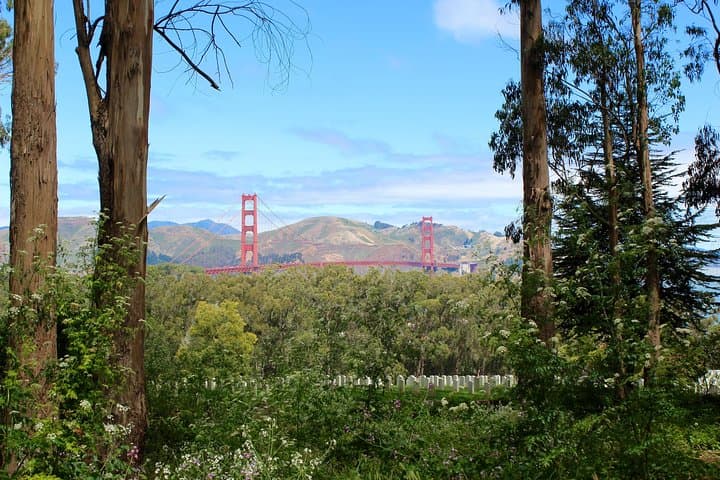 Guided Presidio Hike: Main Post to the Golden Gate Bridge — History, Art & Coastal Views photo 4